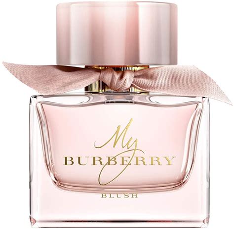 burberry blush perfume notes|my burberry blush price.